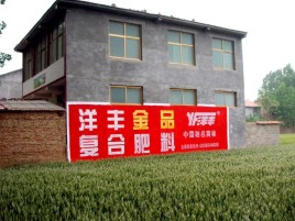 金秀如何让墙体广告展现最大化效果