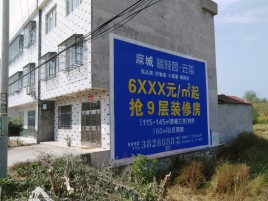 金秀墙体广告质量分析