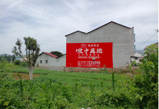金秀做墙体广告的意义