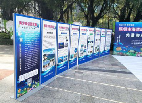 金秀KT板的种类和知识。